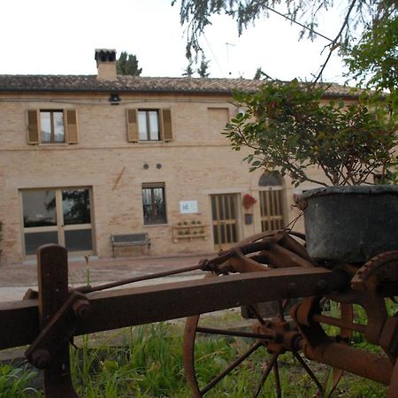 Fattoria Nonno Neno B&B Appignano  Exteriér fotografie