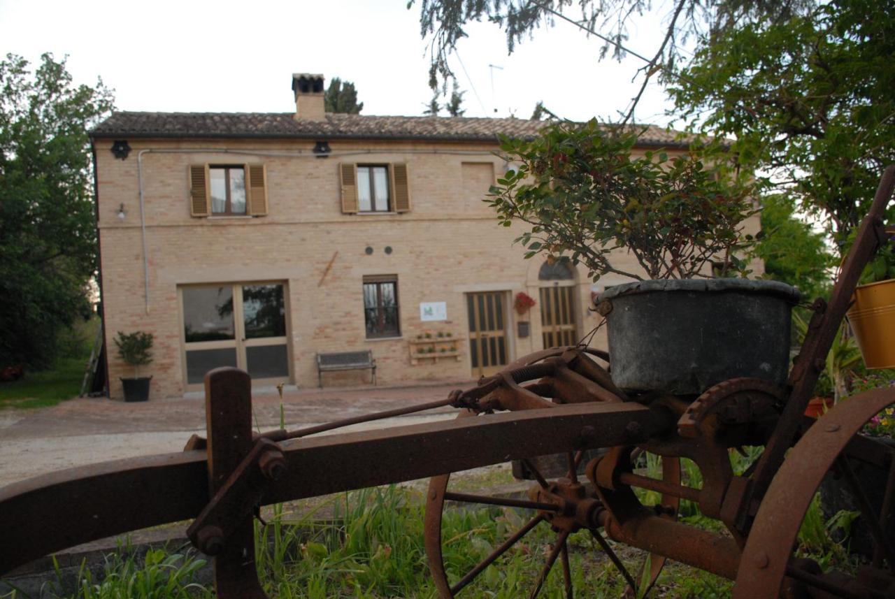 Fattoria Nonno Neno B&B Appignano  Exteriér fotografie